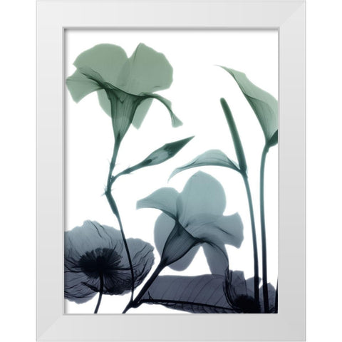 Mystic Bloom 1 White Modern Wood Framed Art Print by Koetsier, Albert