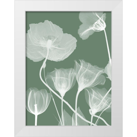 Emerald Flora 1 White Modern Wood Framed Art Print by Koetsier, Albert