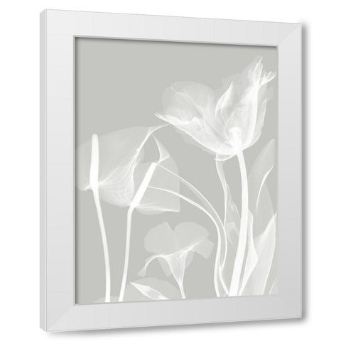 Gray Flora 1 White Modern Wood Framed Art Print by Koetsier, Albert