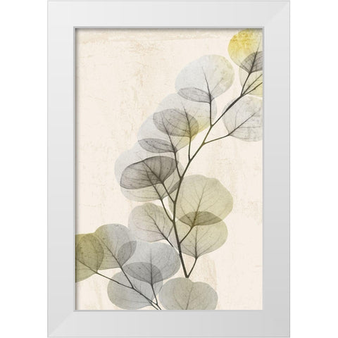 Golden Break 2 White Modern Wood Framed Art Print by Koetsier, Albert