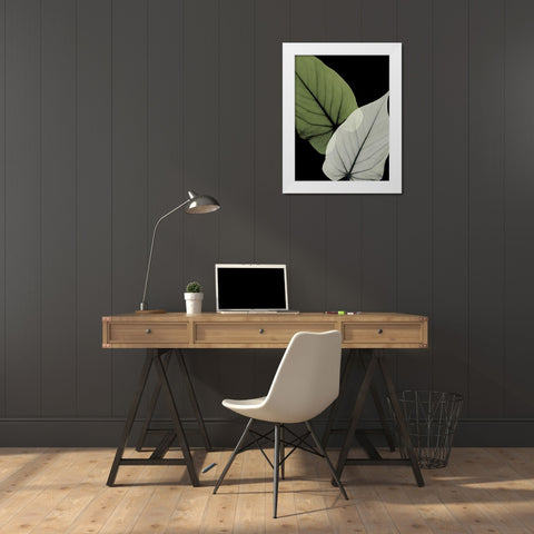 Philodendron Embrace 1 White Modern Wood Framed Art Print by Koetsier, Albert