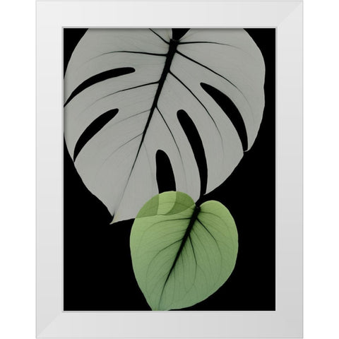 Botanical Embrace 1 White Modern Wood Framed Art Print by Koetsier, Albert