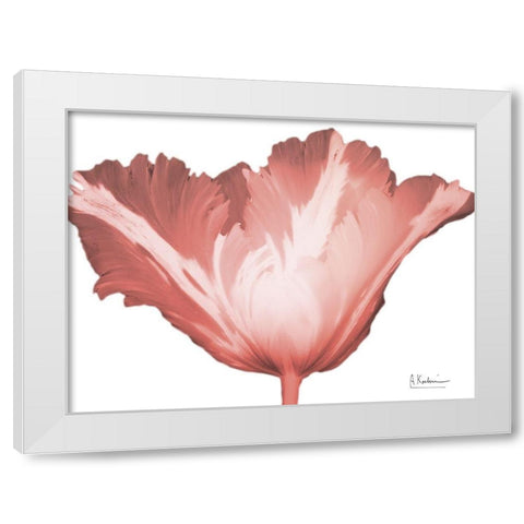 Coral Blossom 1 White Modern Wood Framed Art Print by Koetsier, Albert