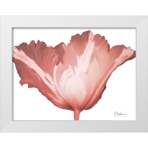 Coral Blossom 1 White Modern Wood Framed Art Print by Koetsier, Albert