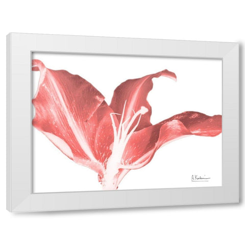 Coral Blossom 2 White Modern Wood Framed Art Print by Koetsier, Albert