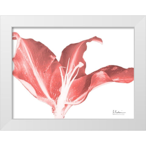 Coral Blossom 2 White Modern Wood Framed Art Print by Koetsier, Albert