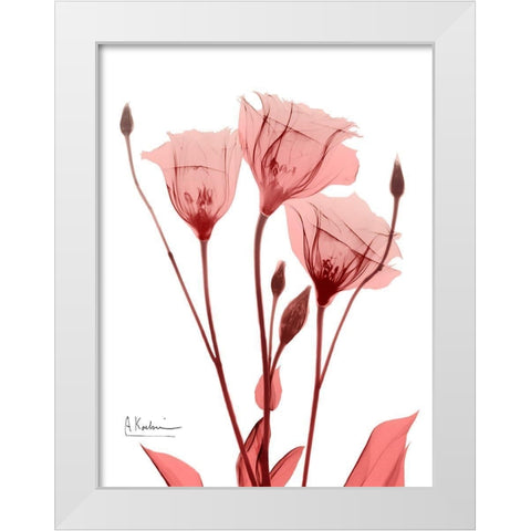 Marvelous Gentian 1 White Modern Wood Framed Art Print by Koetsier, Albert