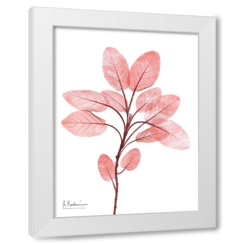 Coral Wonder 3 White Modern Wood Framed Art Print by Koetsier, Albert