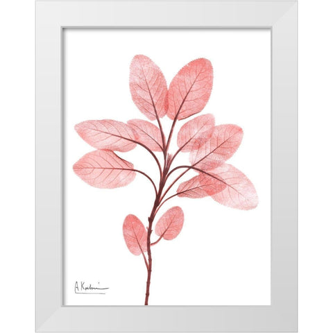 Coral Wonder 3 White Modern Wood Framed Art Print by Koetsier, Albert