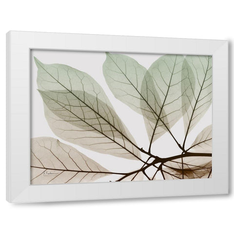 Earthy Magnolia White Modern Wood Framed Art Print by Koetsier, Albert