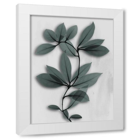 Silver Pine Wonder 1 White Modern Wood Framed Art Print by Koetsier, Albert