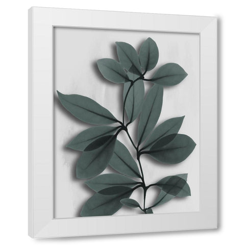 Silver Pine Wonder 2 White Modern Wood Framed Art Print by Koetsier, Albert