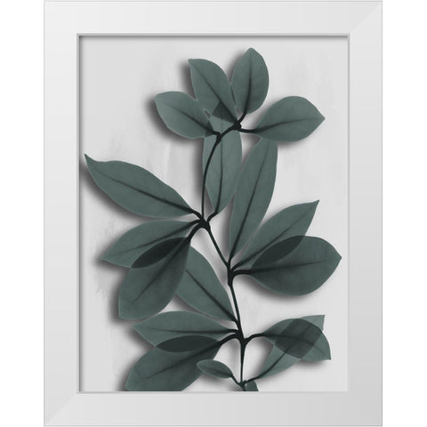 Silver Pine Wonder 2 White Modern Wood Framed Art Print by Koetsier, Albert