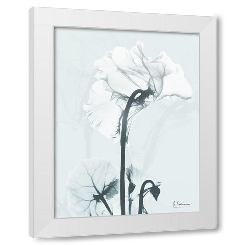 Desired Cyclamen 1 White Modern Wood Framed Art Print by Koetsier, Albert