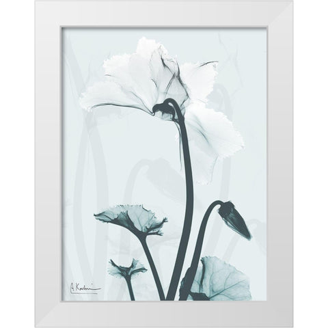 Desired Cyclamen 2 White Modern Wood Framed Art Print by Koetsier, Albert