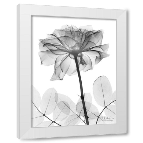 Rose Dynasty 2 White Modern Wood Framed Art Print by Koetsier, Albert