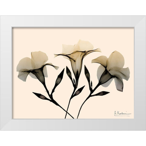 Mandelilla Dawn White Modern Wood Framed Art Print by Koetsier, Albert