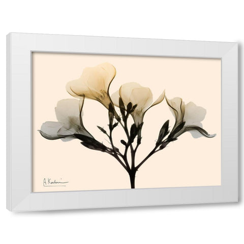 Oleander Dawn White Modern Wood Framed Art Print by Koetsier, Albert