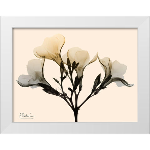 Oleander Dawn White Modern Wood Framed Art Print by Koetsier, Albert