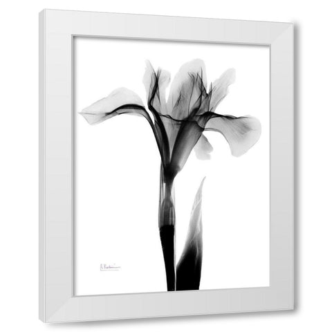 Expressed Iris White Modern Wood Framed Art Print by Koetsier, Albert