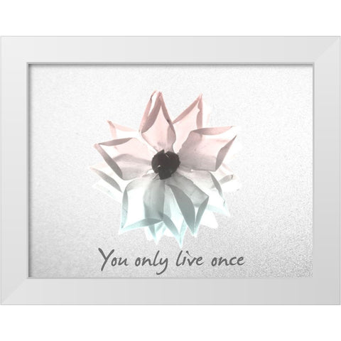 You Only Live Once Rose White Modern Wood Framed Art Print by Koetsier, Albert