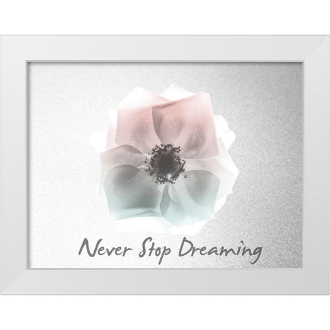 Never Stop Dreaming Rose White Modern Wood Framed Art Print by Koetsier, Albert