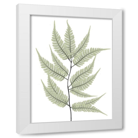 Fern Tree White Modern Wood Framed Art Print by Koetsier, Albert