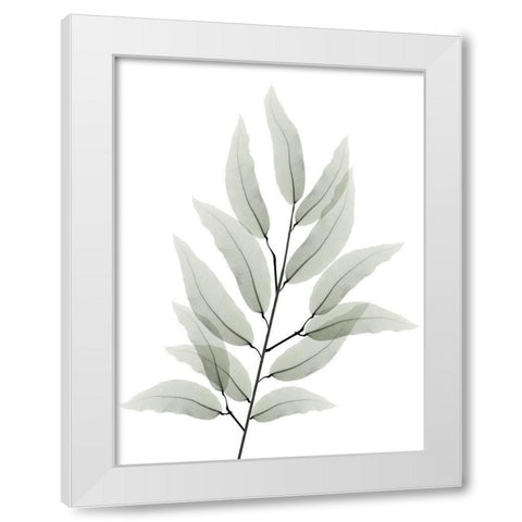 Franken Tree 1 White Modern Wood Framed Art Print by Koetsier, Albert