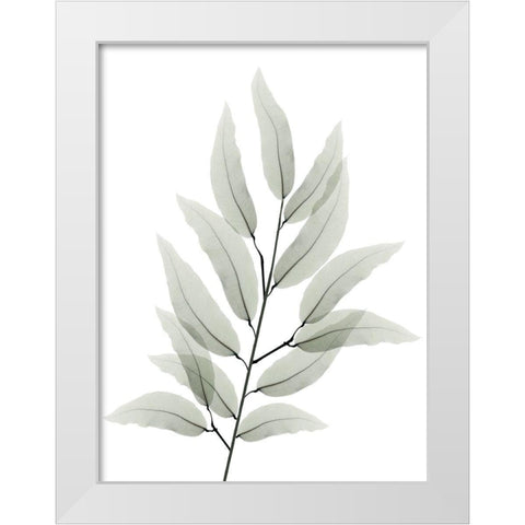 Franken Tree 1 White Modern Wood Framed Art Print by Koetsier, Albert