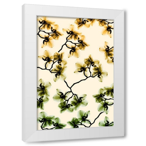 Peeking Foliage 3 White Modern Wood Framed Art Print by Koetsier, Albert