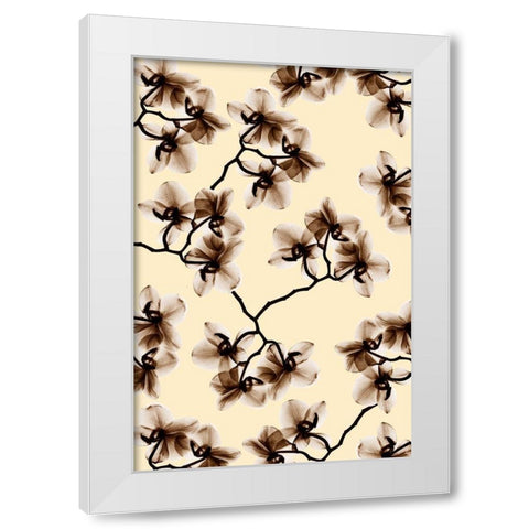 Peeking Foliage 1 White Modern Wood Framed Art Print by Koetsier, Albert