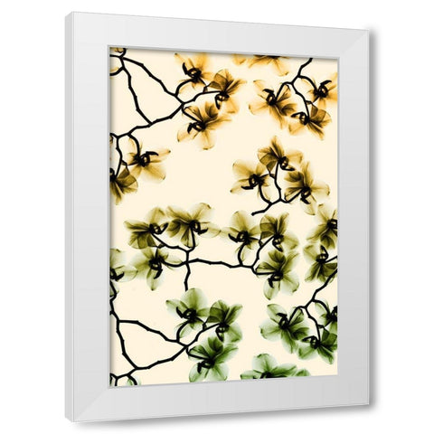 Peeking Foliage 4 White Modern Wood Framed Art Print by Koetsier, Albert