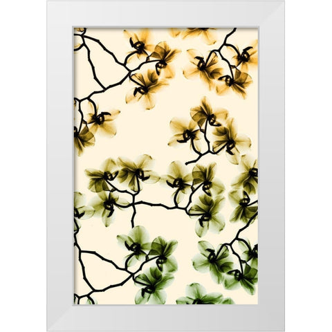 Peeking Foliage 4 White Modern Wood Framed Art Print by Koetsier, Albert