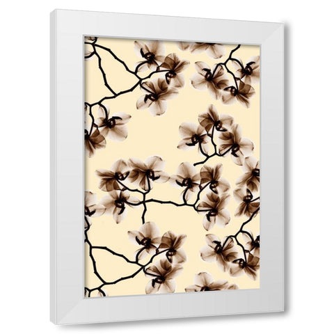 Peeking Foliage 2 White Modern Wood Framed Art Print by Koetsier, Albert