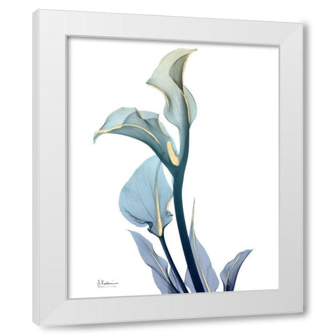 Gold Sprinkled Calla Lily White Modern Wood Framed Art Print by Koetsier, Albert