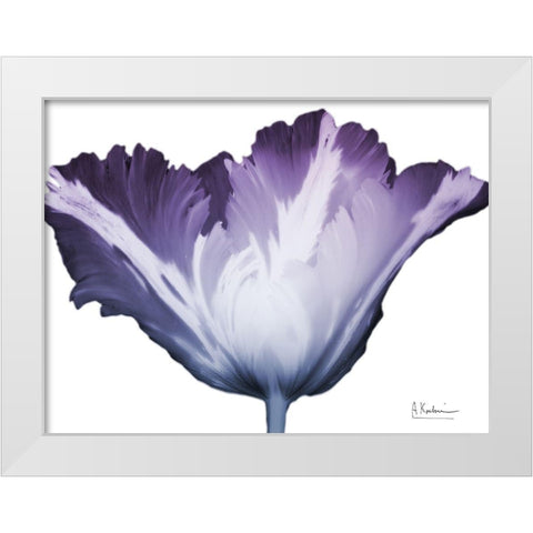 Radiant Blossom 1 White Modern Wood Framed Art Print by Koetsier, Albert