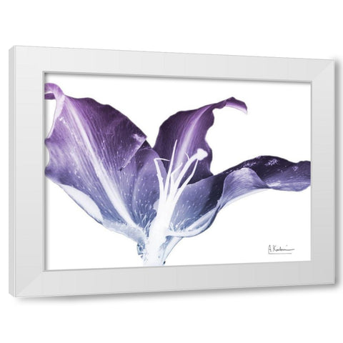 Radiant Blossom 2 White Modern Wood Framed Art Print by Koetsier, Albert