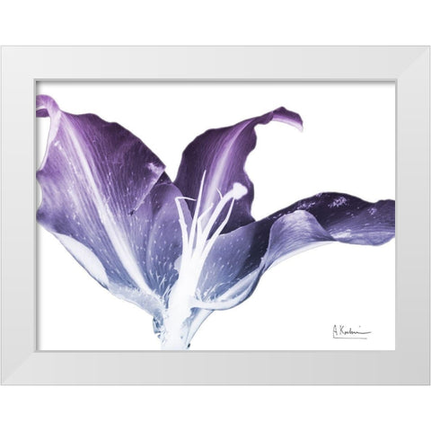 Radiant Blossom 2 White Modern Wood Framed Art Print by Koetsier, Albert