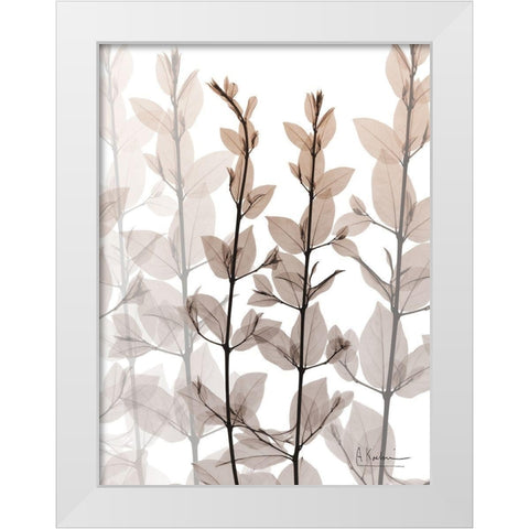 Dry Embrace 1 White Modern Wood Framed Art Print by Koetsier, Albert