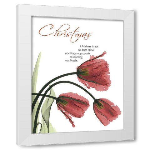 Christmas Tulips 1 White Modern Wood Framed Art Print by Koetsier, Albert