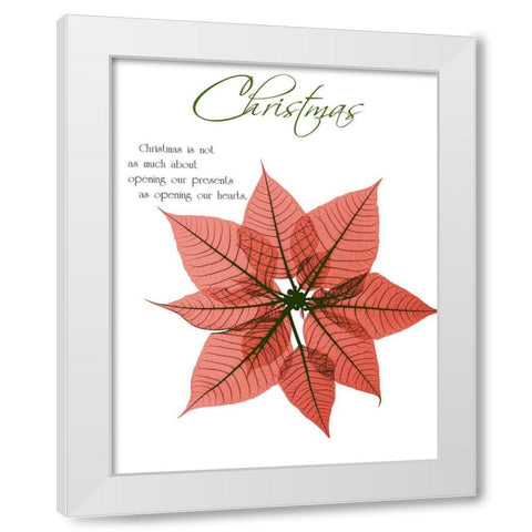 Seasonal Poinsettia 1 White Modern Wood Framed Art Print by Koetsier, Albert