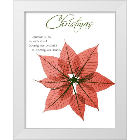 Seasonal Poinsettia 1 White Modern Wood Framed Art Print by Koetsier, Albert