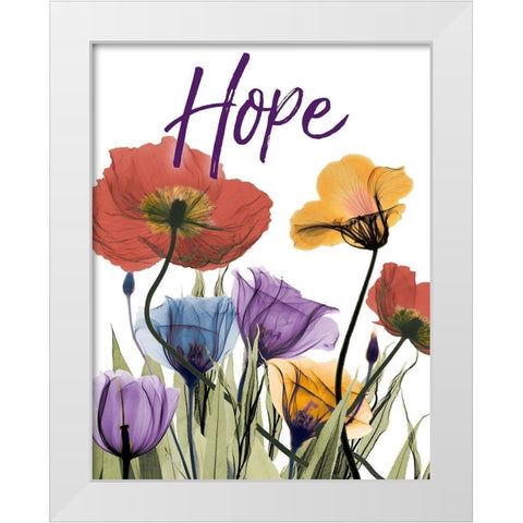 Hopeful Flowerscape White Modern Wood Framed Art Print by Koetsier, Albert