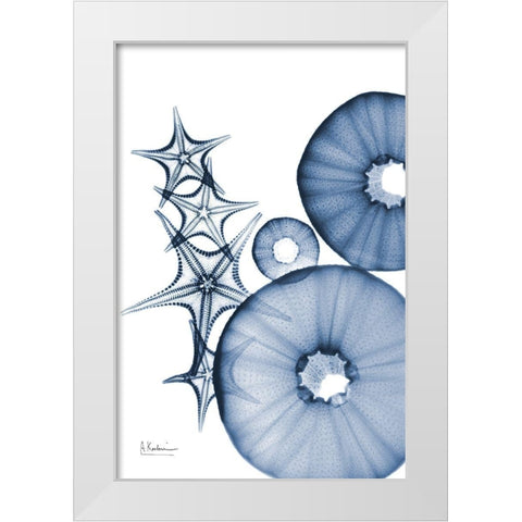 Indigo Aquatic Universe 1 White Modern Wood Framed Art Print by Koetsier, Albert