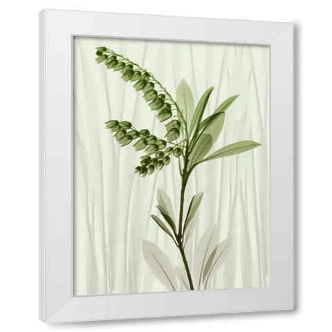 Radiant Greens 1 White Modern Wood Framed Art Print by Koetsier, Albert