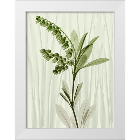 Radiant Greens 1 White Modern Wood Framed Art Print by Koetsier, Albert