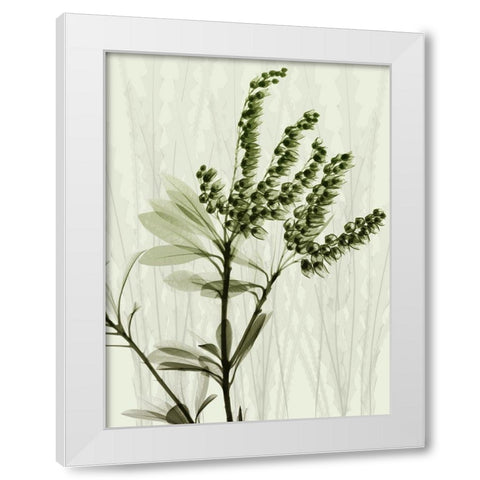 Radiant Greens 2 White Modern Wood Framed Art Print by Koetsier, Albert