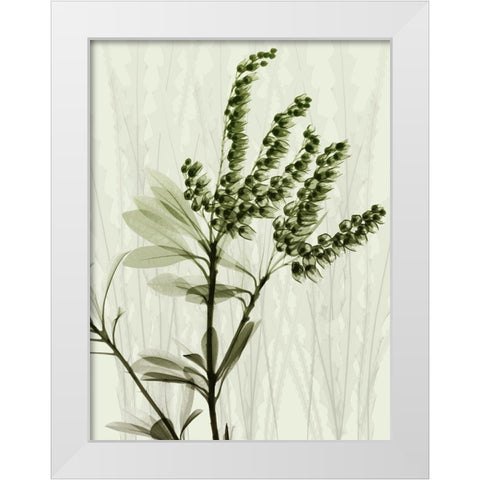 Radiant Greens 2 White Modern Wood Framed Art Print by Koetsier, Albert