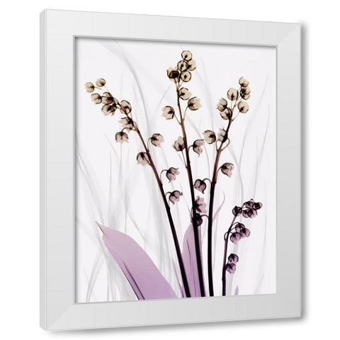 Radiant Snowdrops 3 White Modern Wood Framed Art Print by Koetsier, Albert