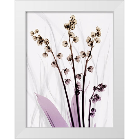 Radiant Snowdrops 3 White Modern Wood Framed Art Print by Koetsier, Albert